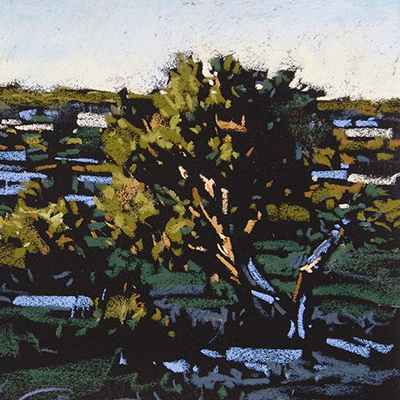 Cropped 402c76af2f98aae7bec6b1b51f42e182