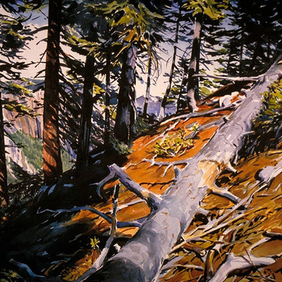 Cropped c11a9a1ed23e74ded5b7f3a93183a403