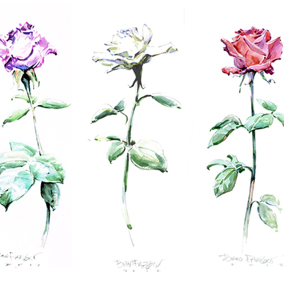 Cropped a901aa9d43f7d3eeded54571be26500f