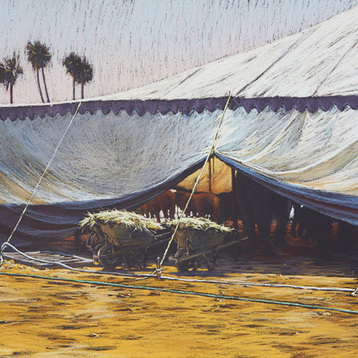 Cropped e0c65316d67fd3cdda64a3c30600375a